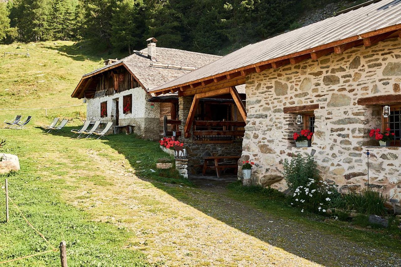 Nestalp Malga Campo Villa Peio Dış mekan fotoğraf