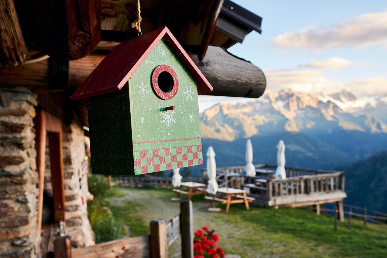 Nestalp Malga Campo Villa Peio Dış mekan fotoğraf