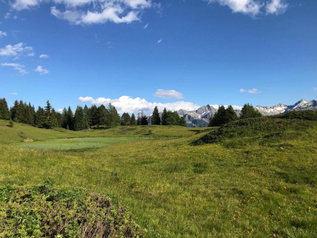 Nestalp Malga Campo Villa Peio Dış mekan fotoğraf