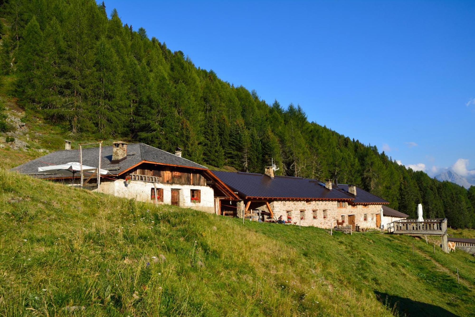 Nestalp Malga Campo Villa Peio Dış mekan fotoğraf
