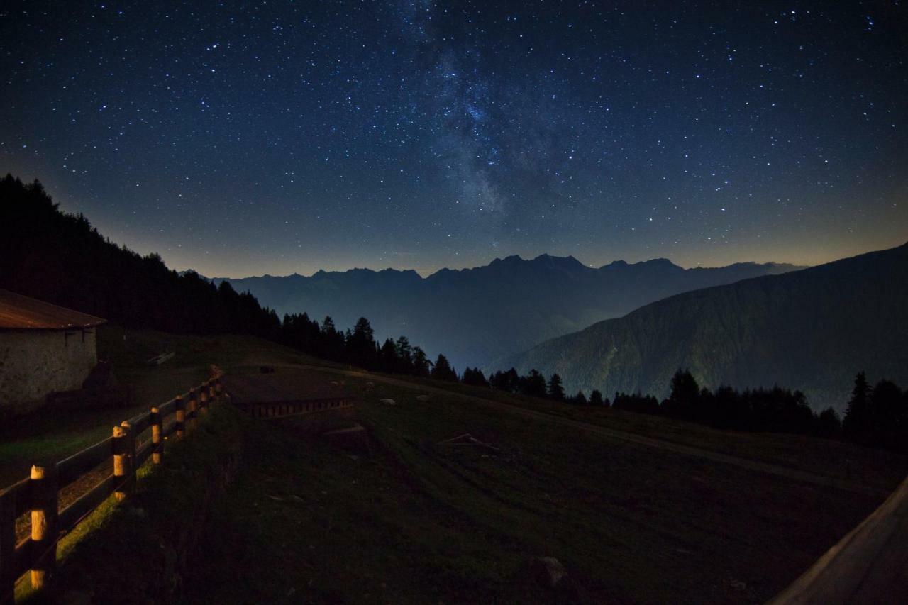 Nestalp Malga Campo Villa Peio Dış mekan fotoğraf