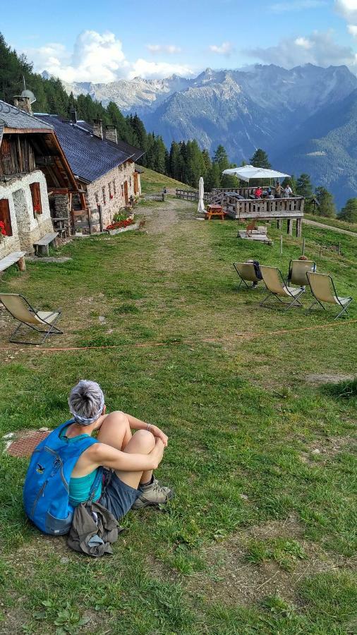 Nestalp Malga Campo Villa Peio Dış mekan fotoğraf